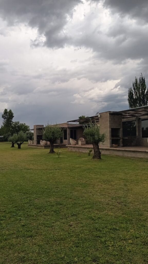 WhatsApp Image 2025-01-08 at 09.15.13