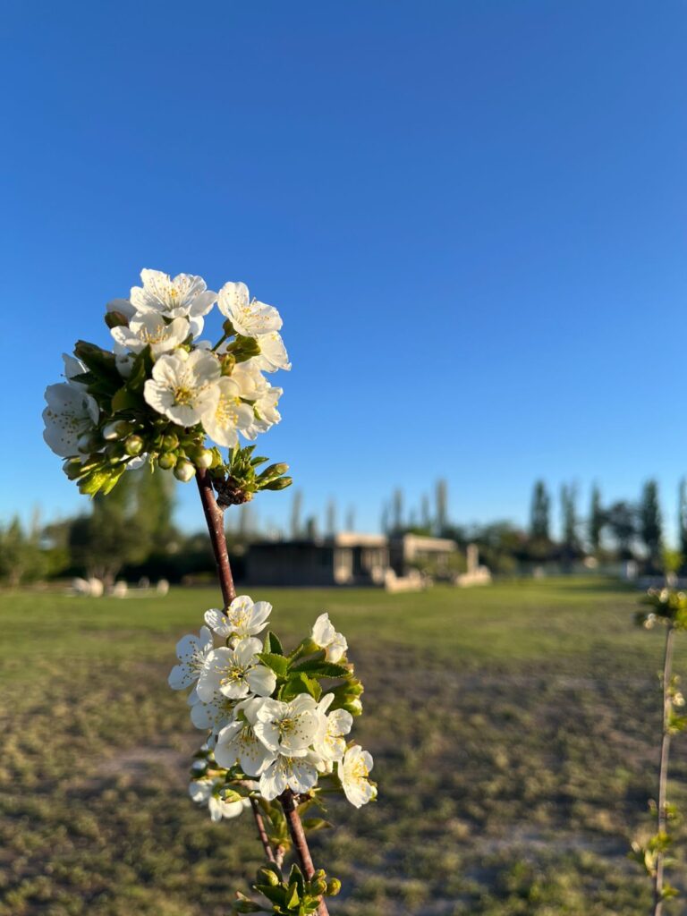 WhatsApp Image 2025-10-20 at 10.49.36