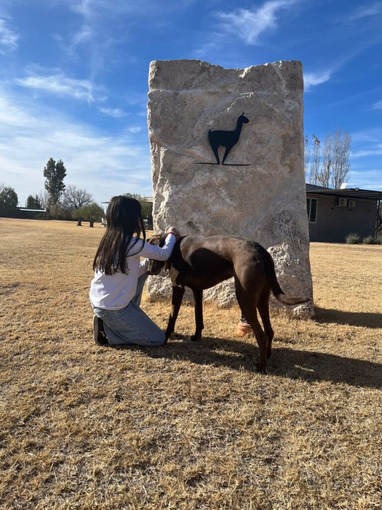 WhatsApp Image 2025-10-20 at 10.49.38 (1)