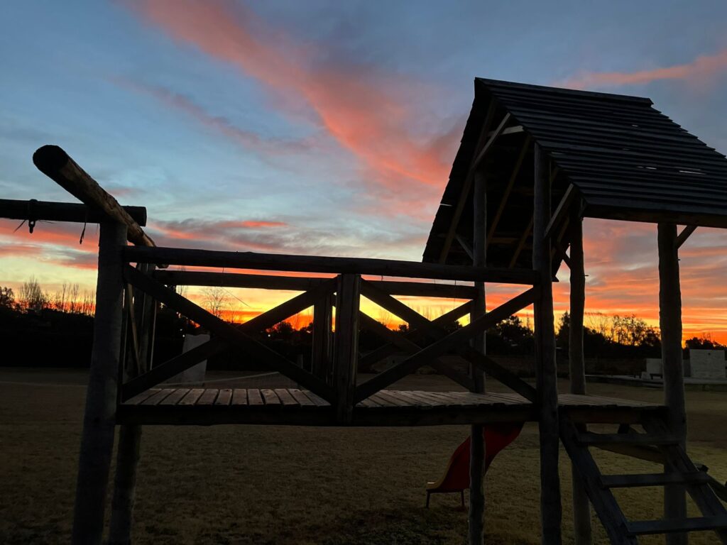 WhatsApp Image 2025-10-20 at 10.49.38 (2)