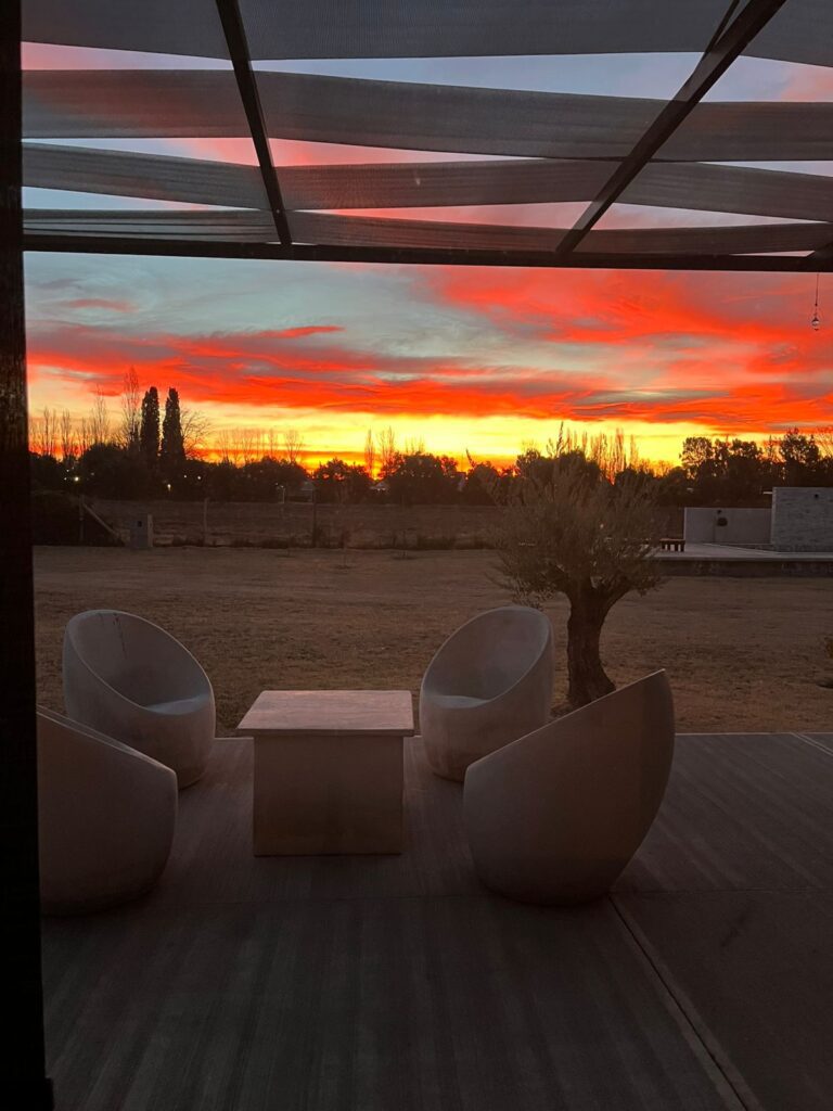 WhatsApp Image 2025-10-20 at 10.49.38 (4)