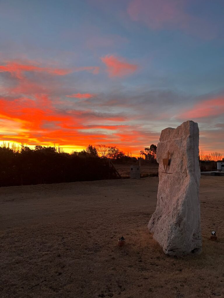 WhatsApp Image 2025-10-20 at 10.49.39 (1)